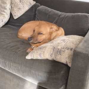 Meet your Posher, Kate